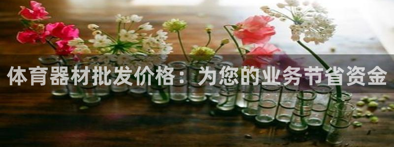 星欧娱乐扣款流程详解视频下载：体育器材批发价格：为您