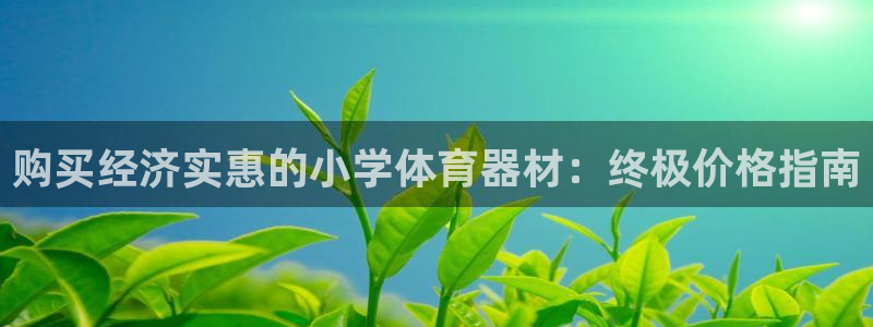 星欧娱乐扣款流程详解视频下载：购买经济实惠的小学体育