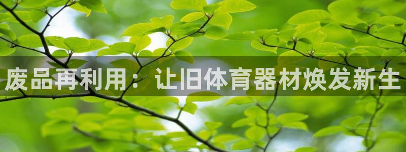 星欧娱乐扣款流程详解图：废品再利用：让旧体育器材焕发