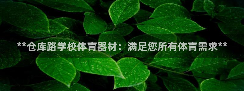 星欧娱乐游戏中心官网登录