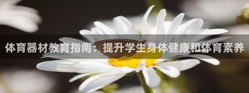 星奥盛典娱乐会所：体育器材教育指南：提升学生身体健康