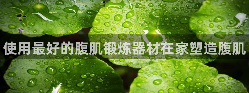 星欧娱乐的创始人背景故事：使用最好的腹肌锻炼器材在家