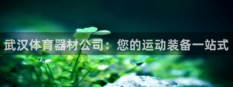 星欧娱乐下载最新版本更新内容